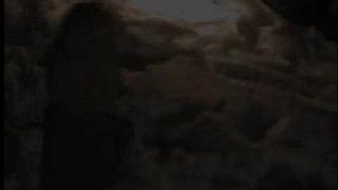 An Experimental Untitled Film