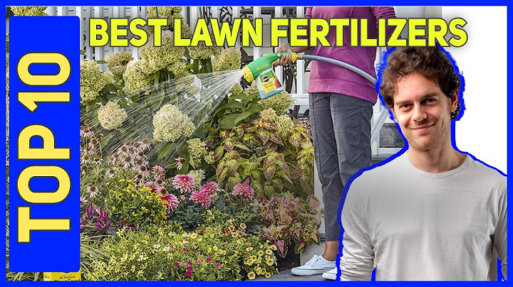 Top 10 best lawn fertilizers on the market 2023 năm 2024