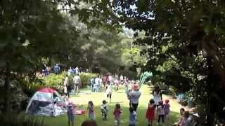 Teddy Bear Parade
