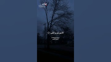 ﴿إن شجرت الزقوم﴾[الدخان٤٣-٤٧] || القارئ مشاري العفاسي