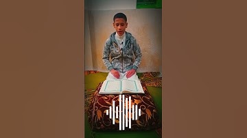 القارئ اسامه حسنى ماشاءالله