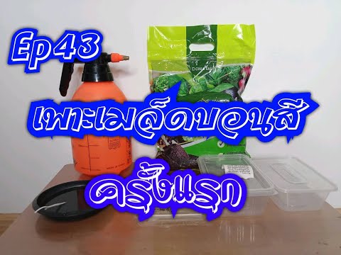 ผลสลากกินแบ่งรัฐบาล วันที่ 1 พย. 2567