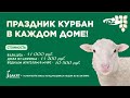 Курбан-байрам 2022!Где взять барашка?