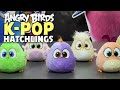 Angry Birds | Hatchlings K-pop Unboxing!