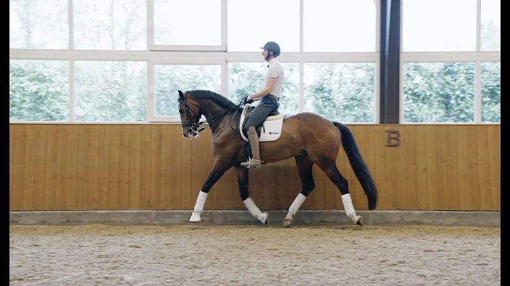 How to ride a sensitive horse with Patrik Kittel