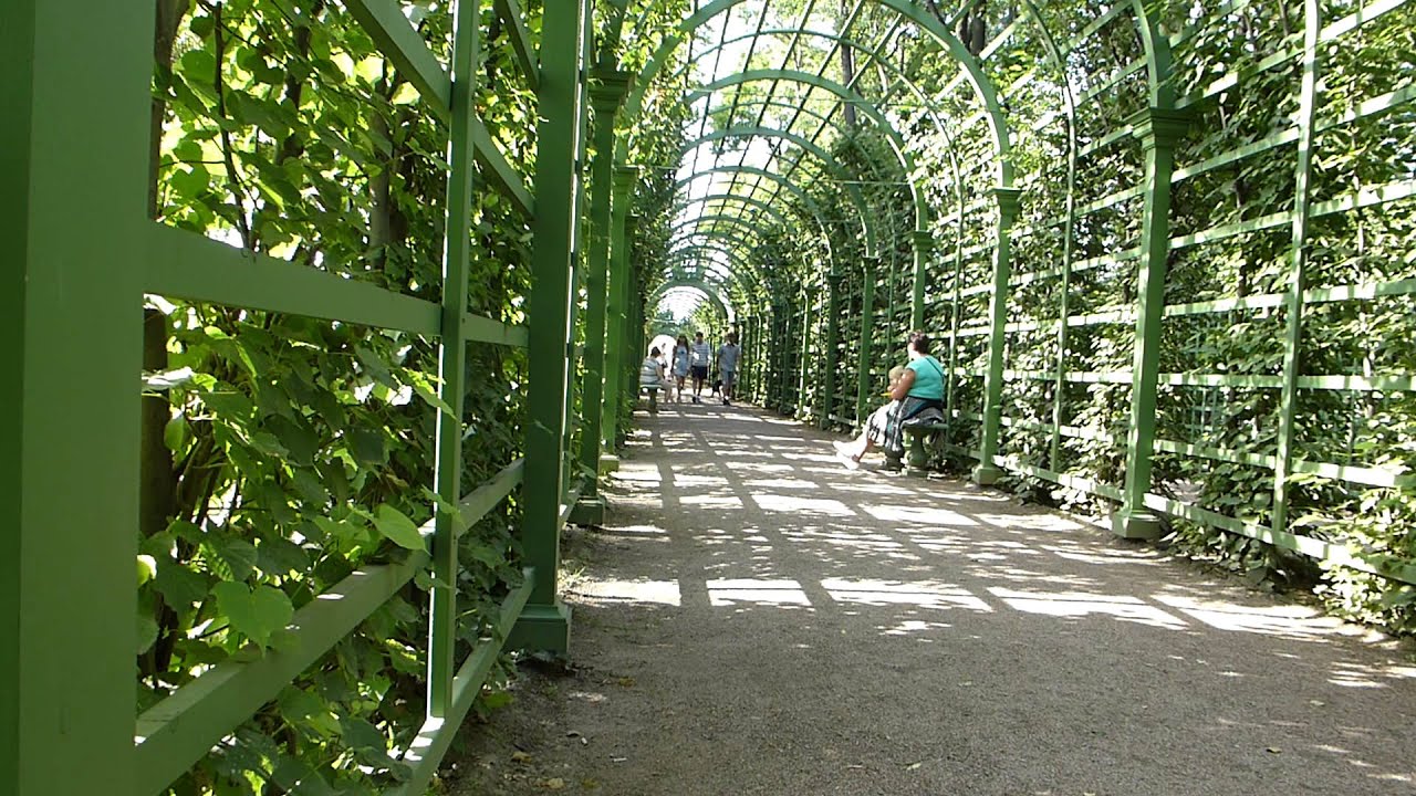 Алексеевский сад в санкт петербурге Алексеевский сад в санкт петербурге