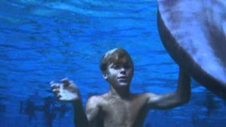 Flipper