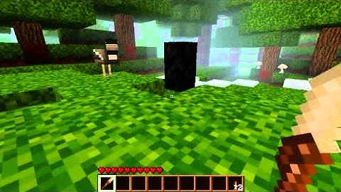 Minecraft Gourd Avenger Part 1