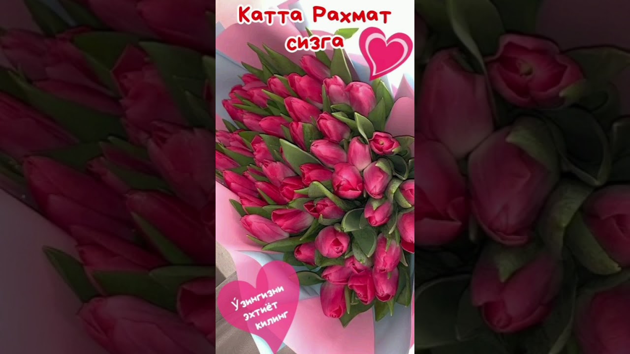 99899 051 43 05 Tabriklar loyixasi! #rek #tabrik #tugʻilgan kun#ona#love #tilak