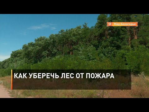 Как уберечь лес от пожара