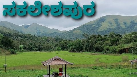 Arohas Eco Hill Resort|Sakleshpur|Best resort in Sakleshpur