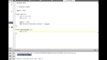 Bahasa Pemrograman Golang - FUNGSI