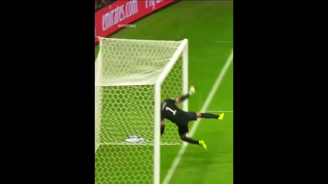 World Class Goalkeeper Saves 2024