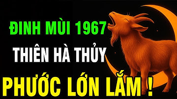 Đinh Mùi 1967–Cuộc Đời Khổ Vì Có Căn Trả Nghiệp, Nhưng Hậu Vận Là Đại Phúc Nếu Làm 3 Điều Này !