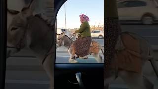 E-5Te Eşekli Şerit Açıldı