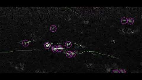 TrackMate Francis Turney data 1st method.