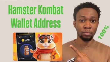 How to FIND Hamster Kombat Wallet Address on Binance & ByBit | Airdrop Update