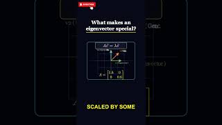 What makes an eigenvector special