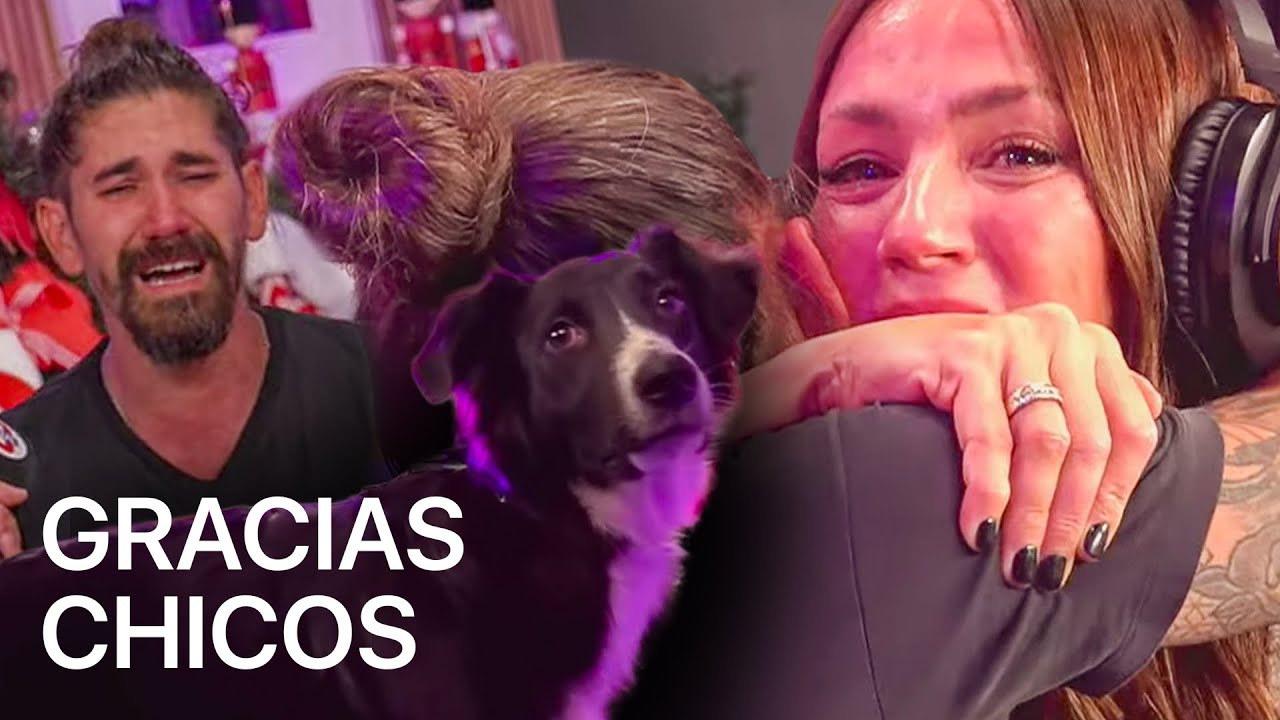 salvamos a un perrito de la calle en vivo (juntamos $8.000.000) 🥺