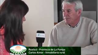 Parera, Rancul, Realicó, La Pampa. 20-07-2017