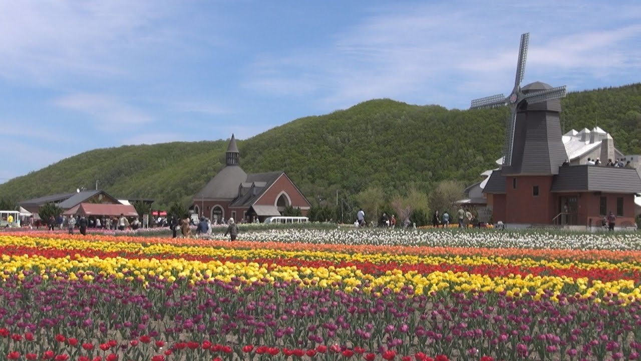 かみゆうべつチューリップ公園 Youtube