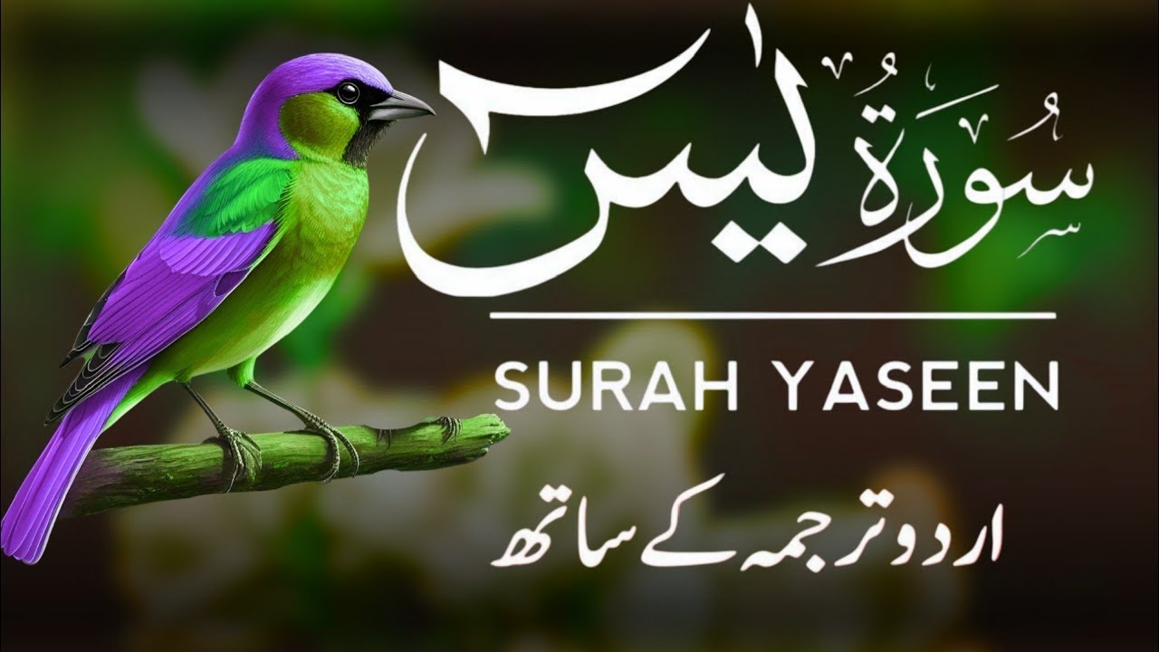 Surah Yaseen | Surah Yaseen With Urdu Translation | Al Furqan Studio | Ep075