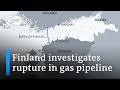 After Nord Stream 2: Another pipeline sabotage in Northern Europe? | DW News