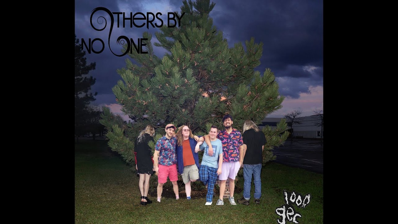 Others by No One - 800db Cloud // LIVE COVER OF 100 GECS