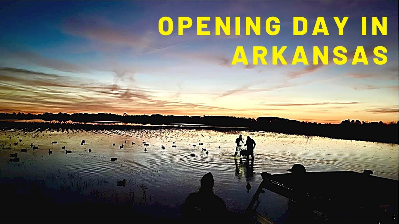 Opening Day in Stuttgart Arkansas Specklebelly Goose Beatdown! YouTube