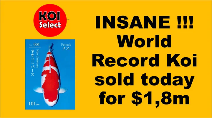 Today! The most expensive koi ever sold $1,8m