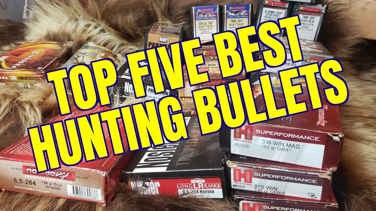 Пять лучших охотничьих пуль