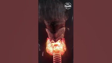 Eight reasons why you’re tired all the time