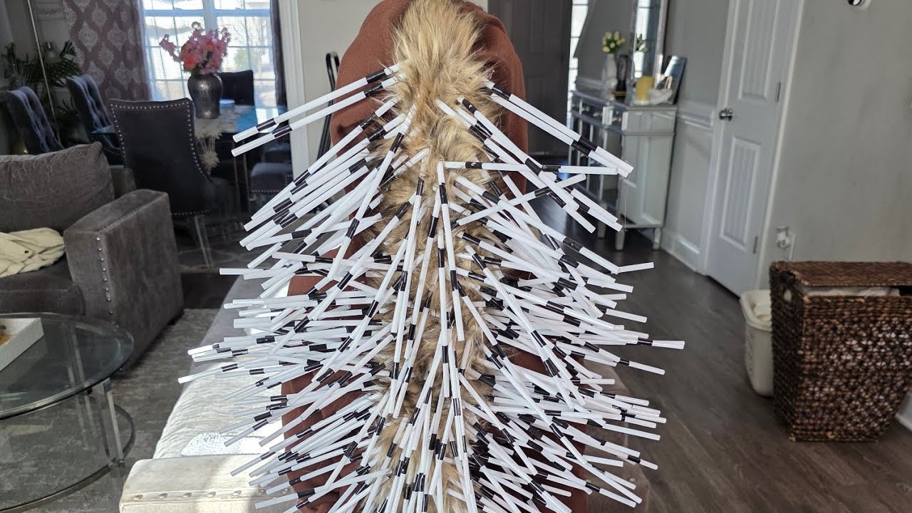 How to create a porcupine costume for my daughter's school play