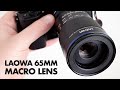 Laowa 65mm f/2.8 2x Macro Lens Review + Sample Photos