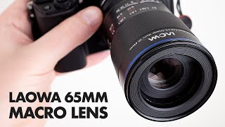Laowa 65mm f/2.8 2x Macro Lens Review + Sample Photos