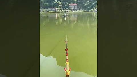 Vlogs 165 Báo cá - Hồ Câu Minh Ngọc 0828152222 Thôn Khúc Giản, Xã An Tiến, Huyện An Lão, Hải Phòng