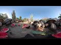 360 VR Galapagos Tortoises at the San Diego Zoo