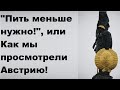 "Пить меньше нужно!", или Как мы просмотрели Австрию!