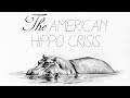 How America Was Almost Overrun By Hippos