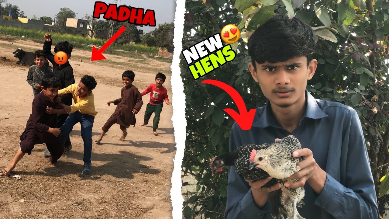 Gaon Mein Fight Scene 😡⚡|New Hens Ki Entry 🐓🎉