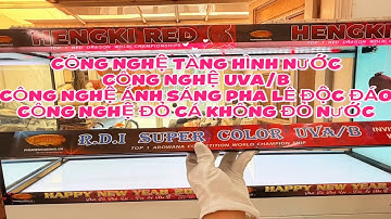 🔴CẬP NHẬT GIÁ ĐÈN R.D.I SUPER COLOUR UVA/B - ĐỈNH CAO ĐÈN CHUYÊN DỤNG CHO CÁ RỒNG HUYẾT LONG