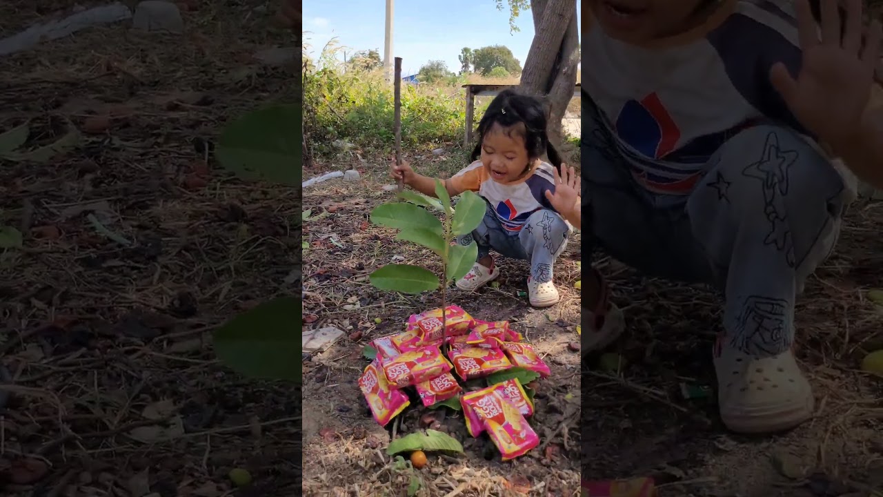 Cute baby Planting cakes 
