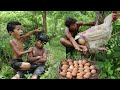 Survival in the rainforest - Meet Chicken Egg - Eating delicious