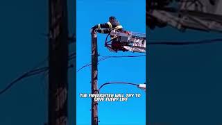 This hero Firefighter saved this little kitten on a high pole...#kitten #animalshorts #cat