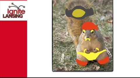 IgniteLansing - Lansing, RELAX!