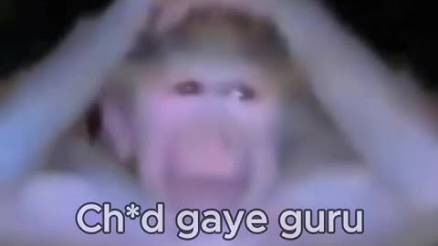 Ultimate "India is not for beginners" compilation Part 1