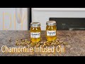 DIY Chamomile Infused Oil for Healthy Skin, Well-Being & Aromatherapy 🌿