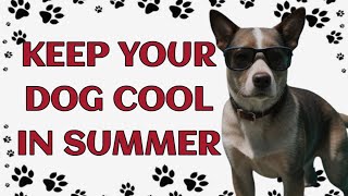 5 Essential Tips: Keep Your Dog Cool This Summer!