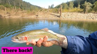 NEPEAN RIVER TROUT FISHING - POST FLOODS