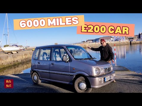 Review KENARI MURAH‼️Stock TERBARU harga mulai 150rb....